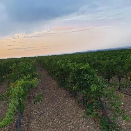 Ch Chevalier, Domaine De La Serre